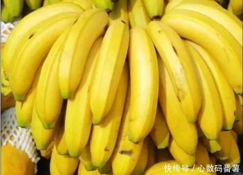 免疫力|如何提高免疫力?这几点很重要