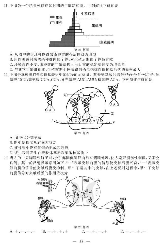 重磅！2021年1月选考和英语科目试题及参考答案