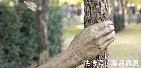 树干&世界上最“有力”的手,紧握树干长达半个世纪,一直都没有松开过