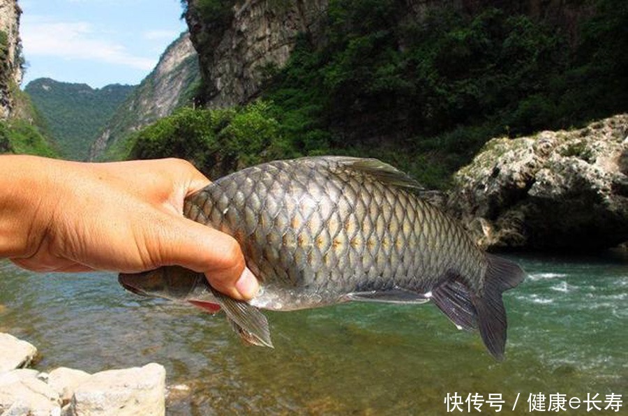  种地方|在水流很急的地方怎么钓鱼三种应对方式，不愁钓不到鱼