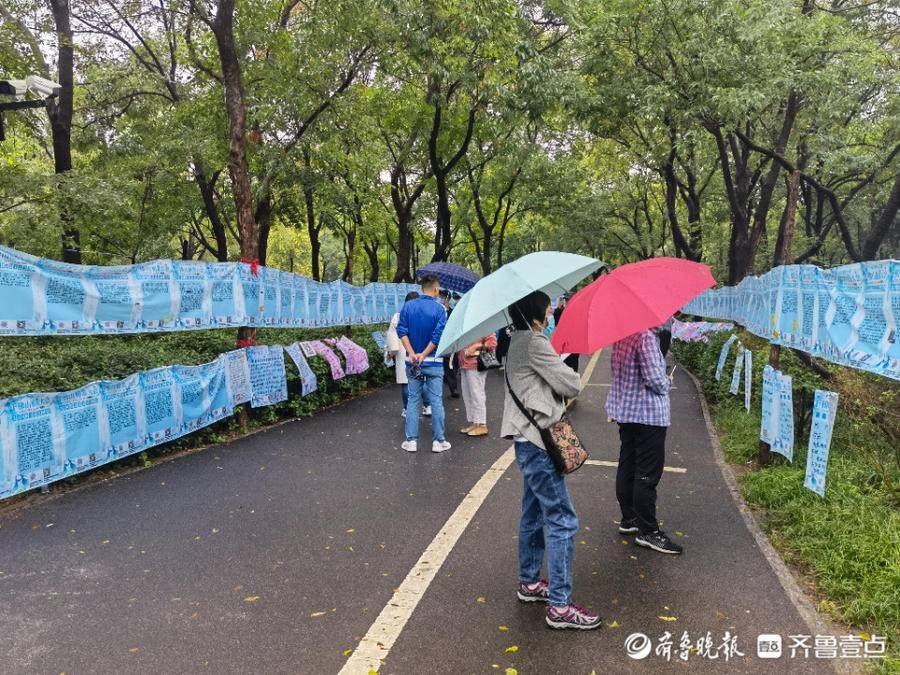 相亲大会|雨中情！千佛山相亲大会开幕第二天，现场浓情满满