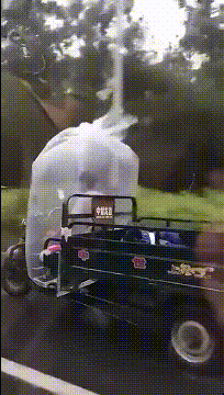 |搞笑GIF趣图: 我真的很喜欢这个游戏,为啥没姑娘跟我这样玩