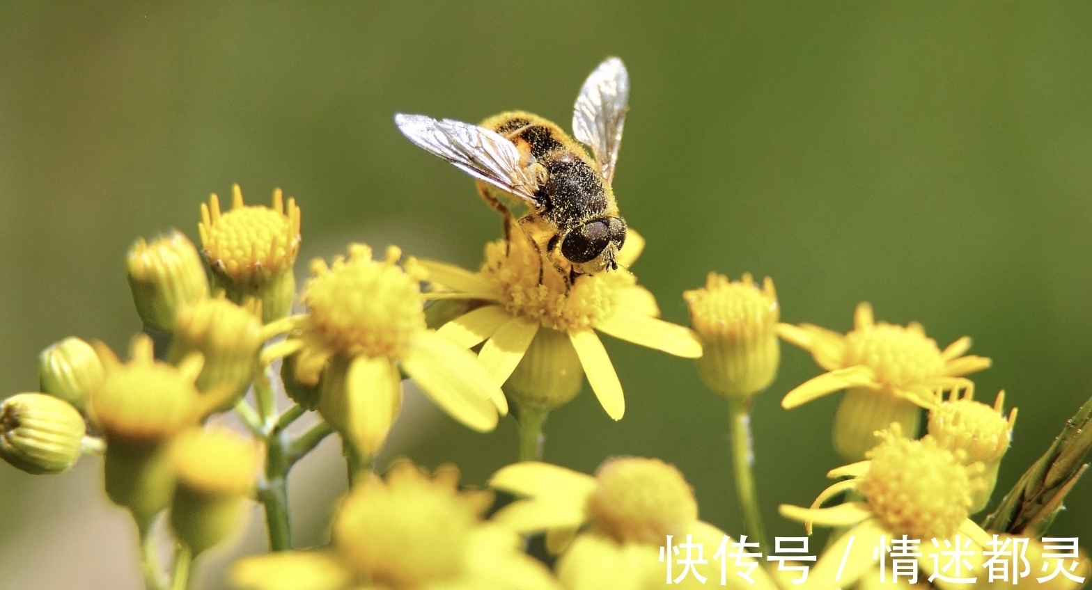 原地|8月，原地守候，离人陌上，3生肖爱情有盼头，重逢之际，不了情缘