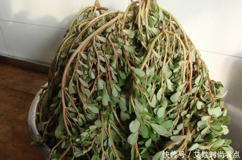 不用|农村人爱吃的素菜,有些普通好吃不用钱,但在城里却买不到!