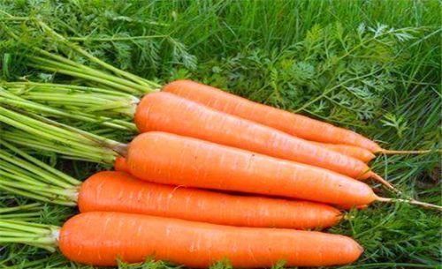 排毒|女性想要肌肤好，坚持吃3种食物，润肤养颜，排毒抗衰，好处多多