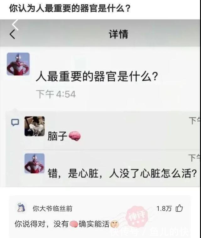 |神评段子合集：照片上有个熊猫就算了，居然还有个上发条的