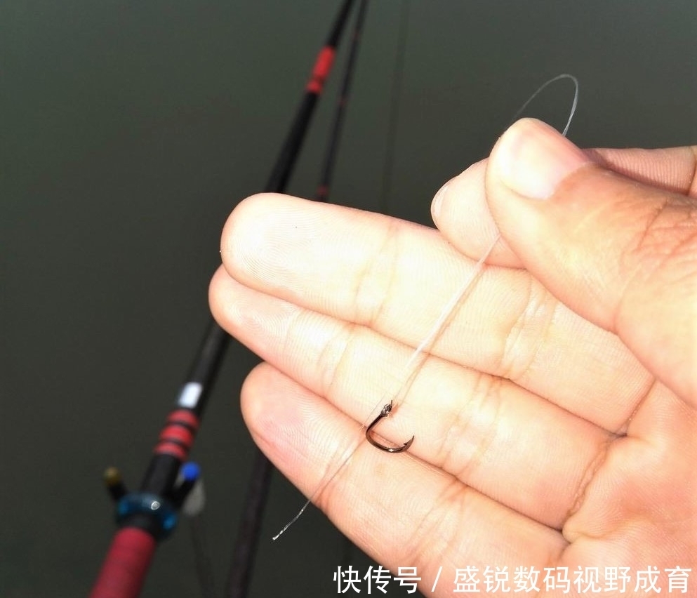 何道理|钓到大鱼不切子线，却切主线是何道理？子线缠绕打结怎样解决