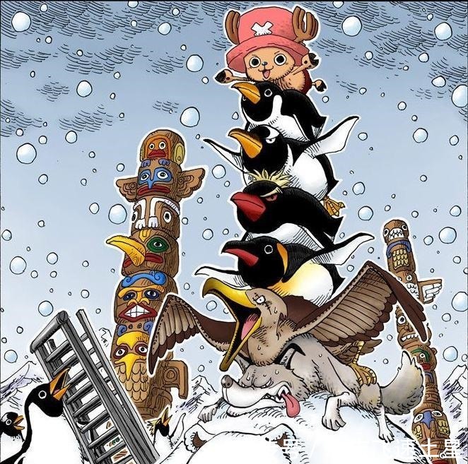 海贼王|海贼王扉页故事之乔巴虽然我很小，但是我很厉害