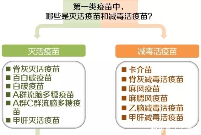 疫苗同时接种|「巾帼微课堂」关于打疫苗的时间，怎么打？同时打？分开打？推迟打？