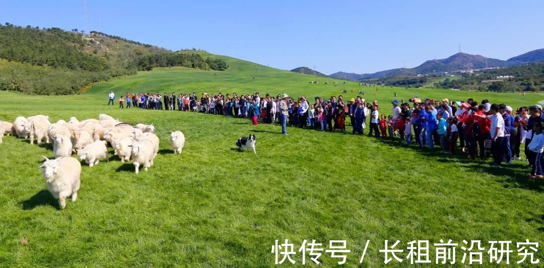 连风|Destination｜悦享金秋，奔赴草原，奥克伍德碧轩与您大连邂逅