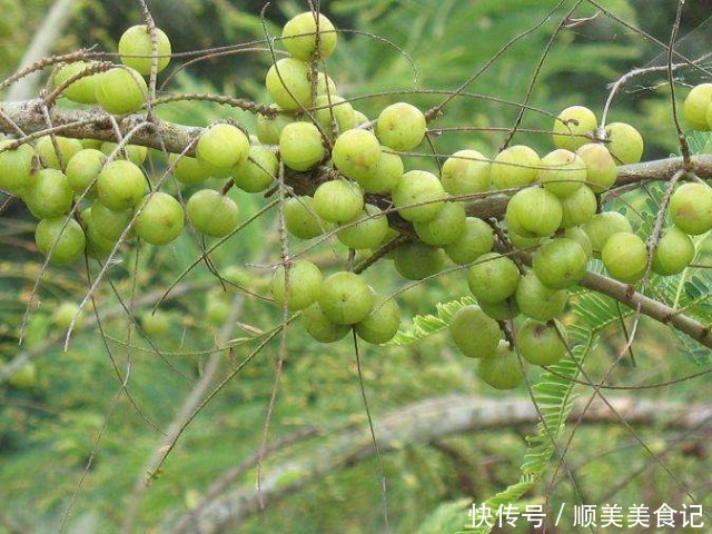 女人不想子宫早衰,秋天多食此果,美白淡斑,还能滋养卵巢