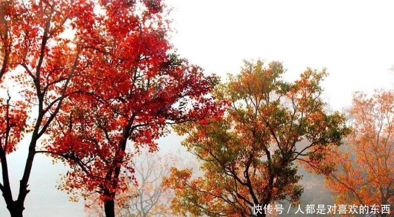 至理名言$俗语:“喂狗别喂饱”,下半句是至理名言,老实人一定要看!