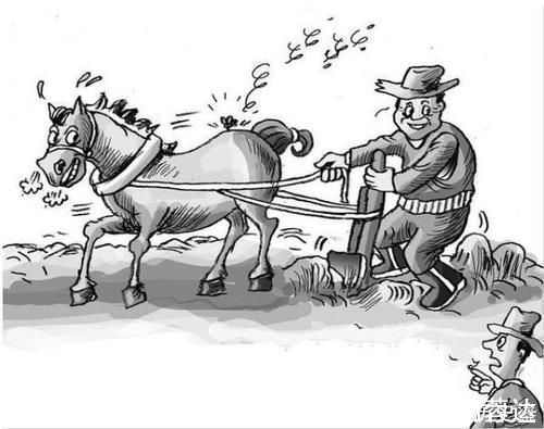 行动力|孩子不自律怎么办?父母可以试试“马蝇效应”,孩子秒变上进王