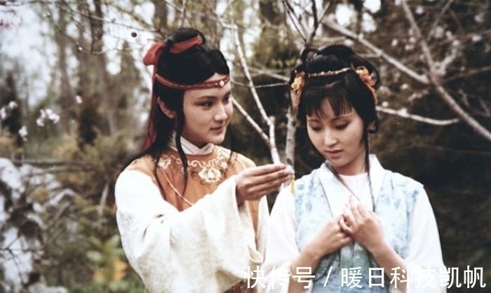 北静王$红楼梦里的四个富二代对林黛玉的态度都很特别, 可见林妹妹是书中的国民女神!