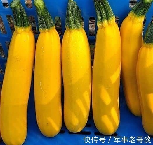 女性|女性秋天养生,要学会吃3种食物,排毒养颜,滋润肌肤,活血滋补