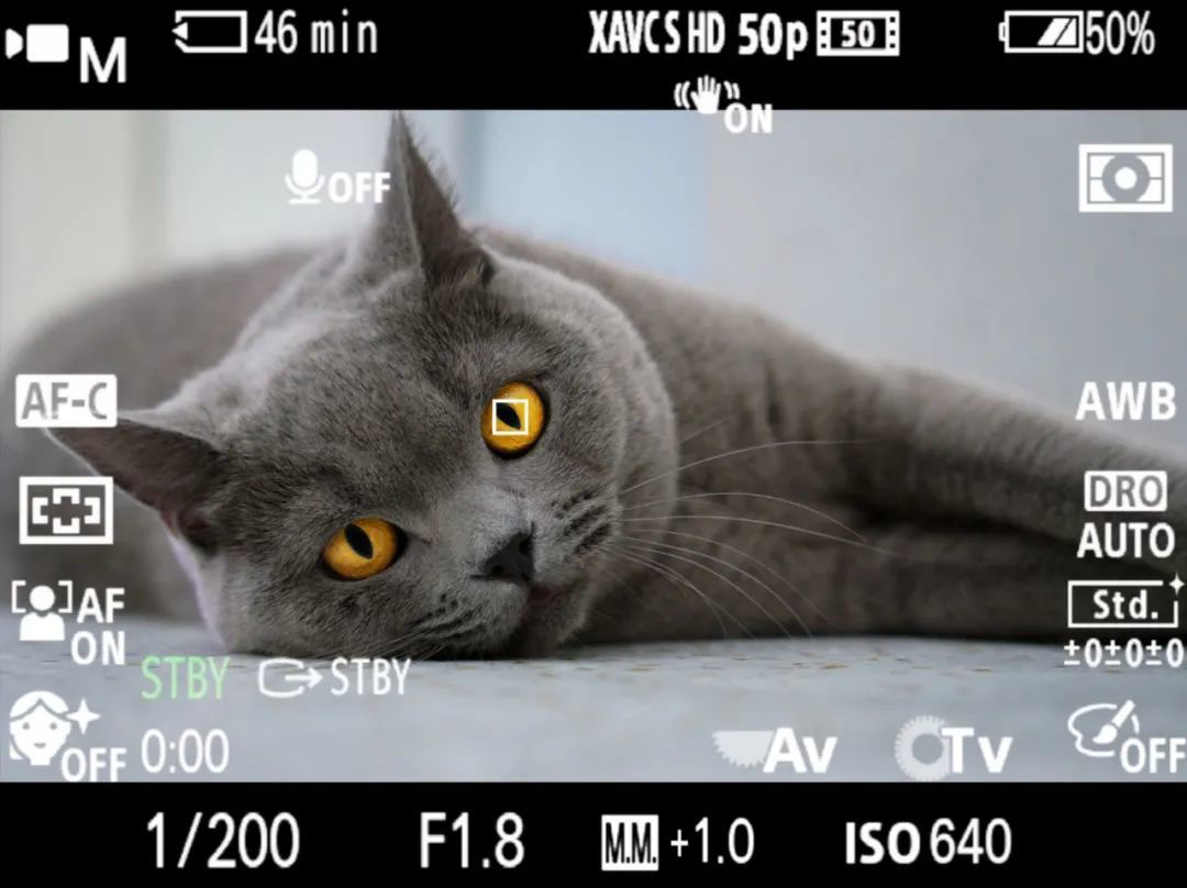 vlog|索尼发布Vlog微单相机ZV-E10免费固件，支持视频实时动物眼部对焦