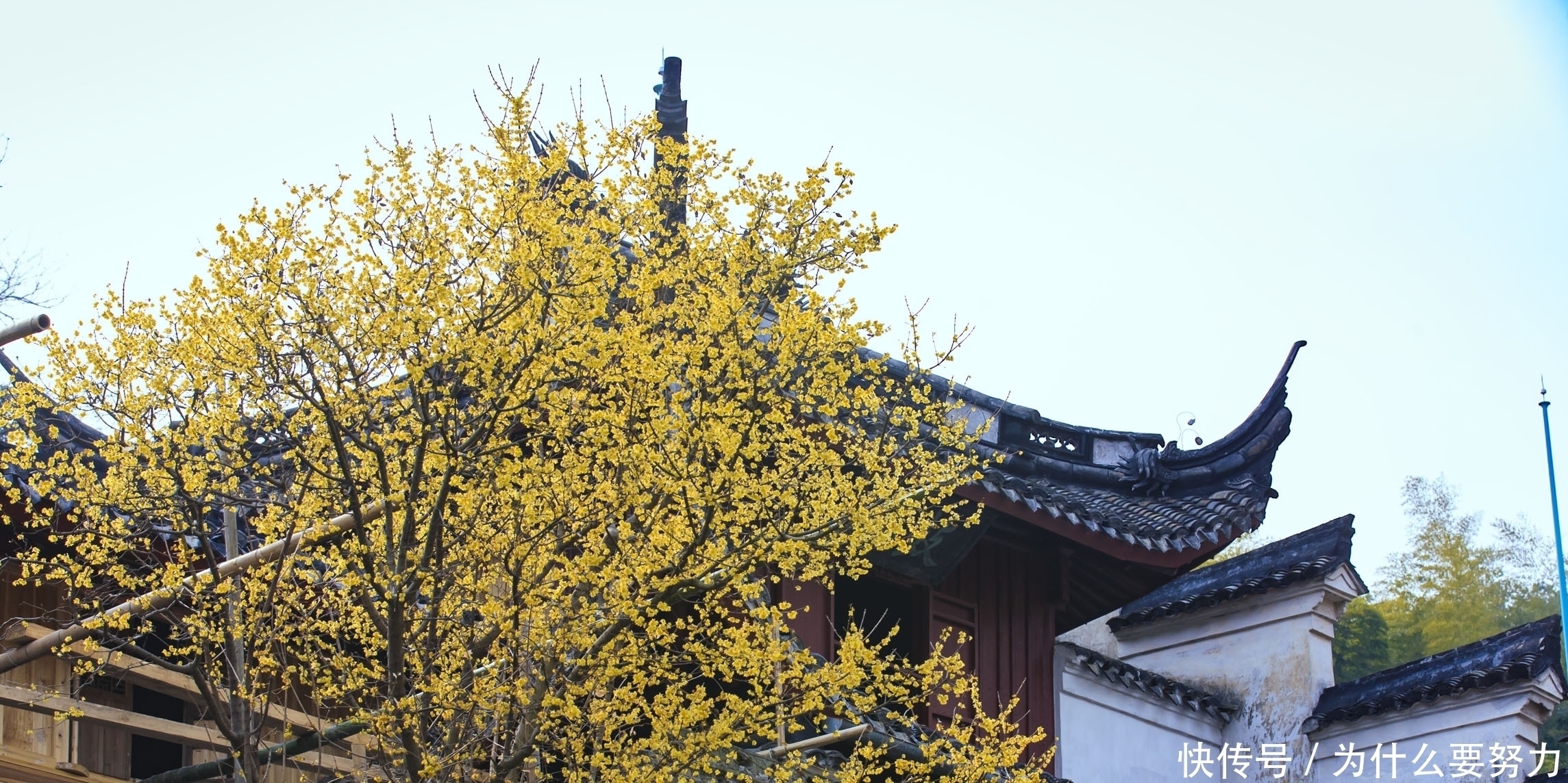 经典|纳兰性德的友情词同样很深情,一首经典的小令,写得也是情意绵绵