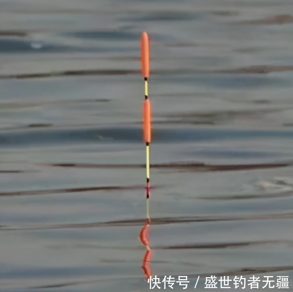 钓青鱼如何诱鱼?教你聚鱼方法和最能吸引青鱼的味型——盛世三渔