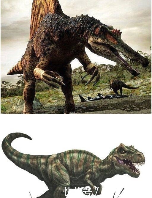 龙龙|海贼王: 实锤了, 龙龙果实一共有5颗! 凯多东方龙仅排第二名