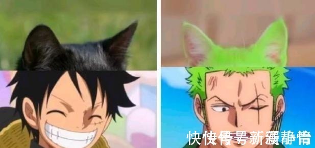 布加拉提|把动漫人物换成“猫猫头”,人物顿时显得可爱了,但布姐yyds