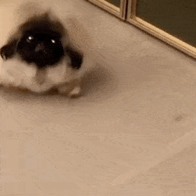 |搞笑表情包|来嘛~