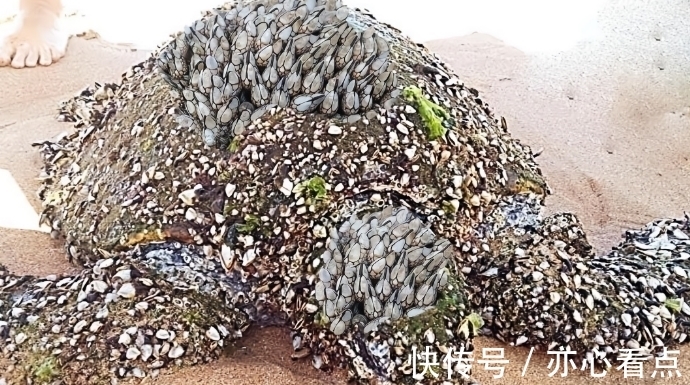 病原微生物相关食品资讯_食品伙伴网