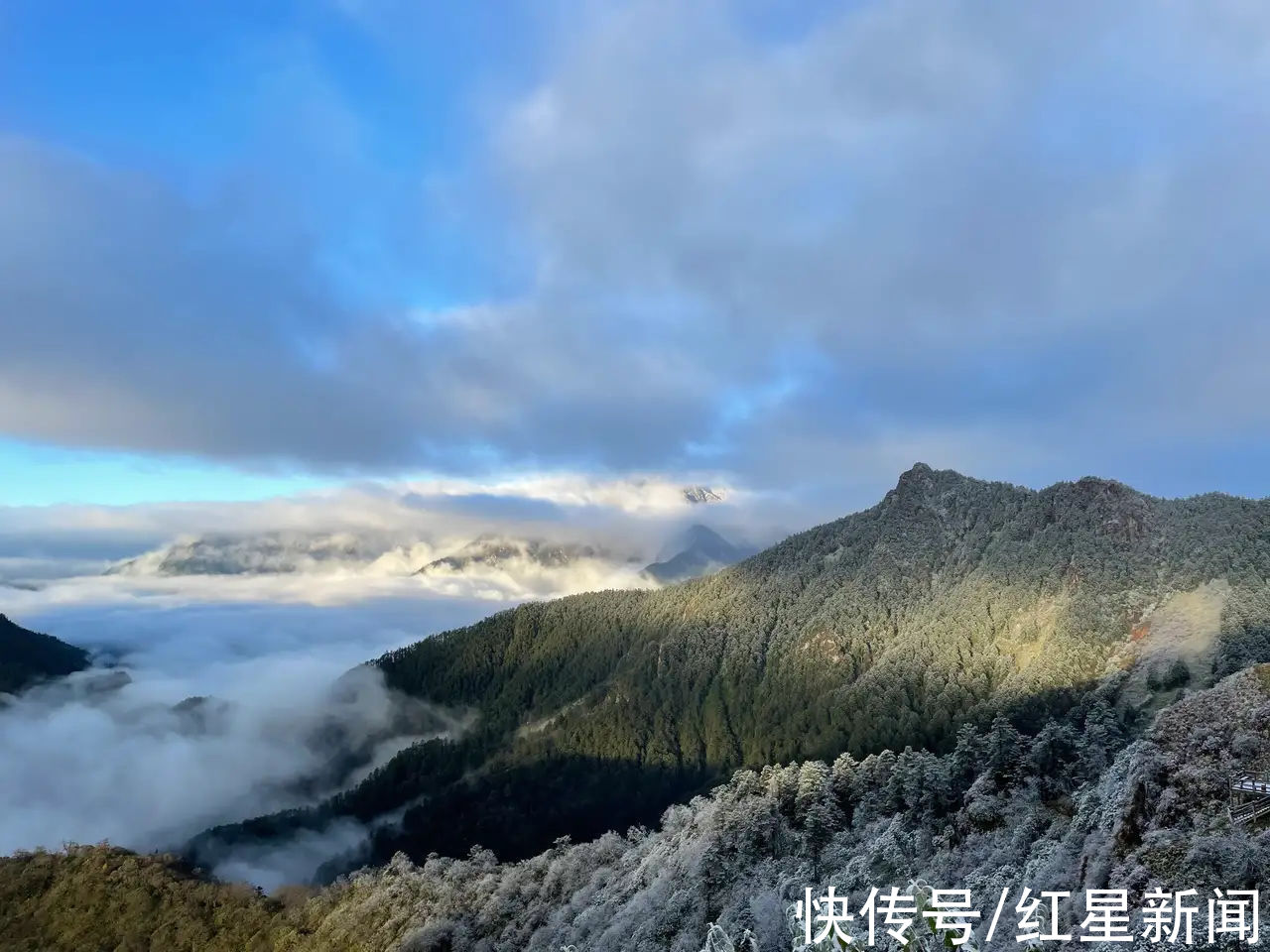 阴雨天后|赏秋景雪景两不误！80%变黄变红，西岭雪山彩林进入最佳观赏期