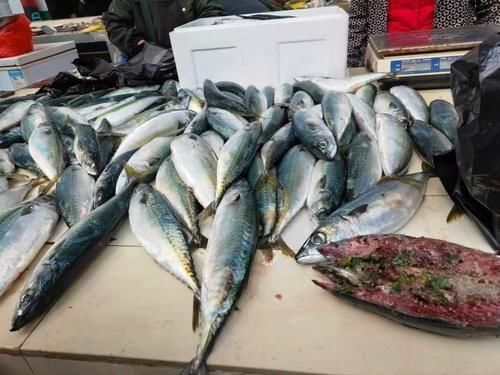 鲜鱼|秋后,遇到此鱼我从不手软,一次买20斤,腌制存放,冬天吃特香