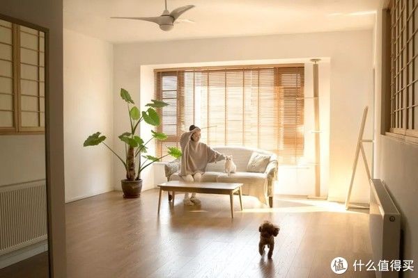 抹布|断舍离中被放弃的93样东西，后来发现真是断对了
