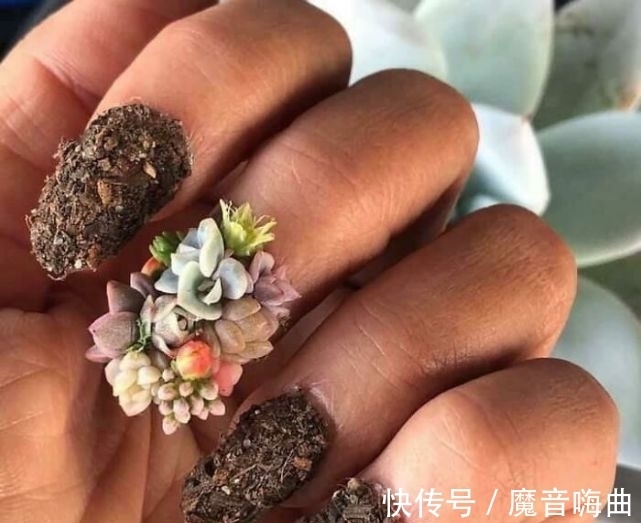 短裤|31个搞怪的奇葩设计，看到第一张图就想报警