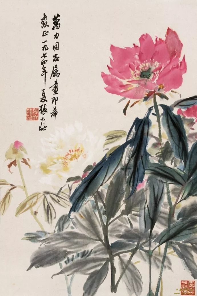 华新罗&张大壮：人淡如菊，以“没骨法”画虾，自创一格