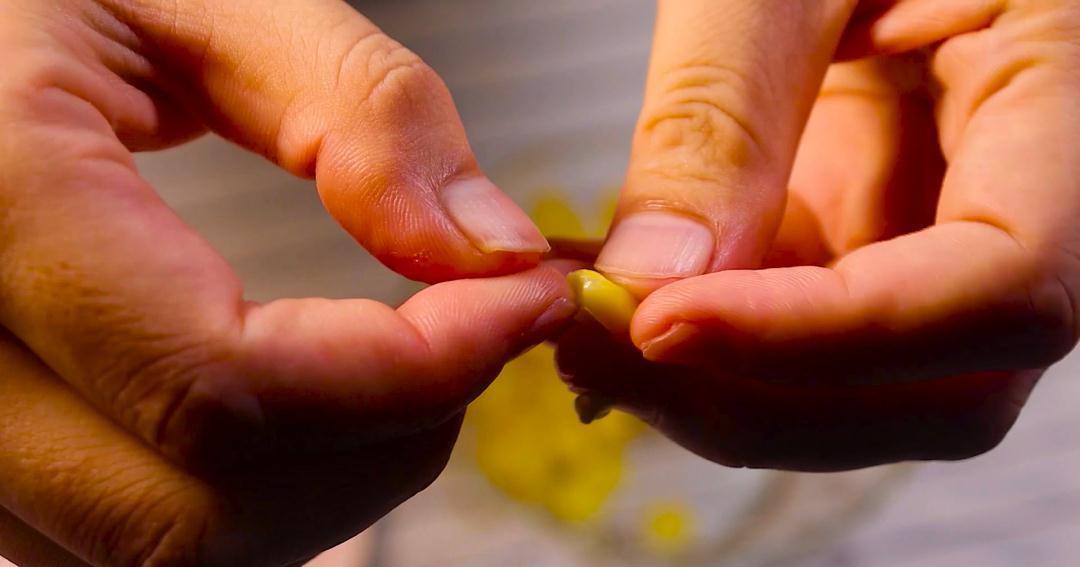 冬吃萝卜夏吃姜,补钙补锌又补铁,出锅宝宝吃光了,常吃多长5cm