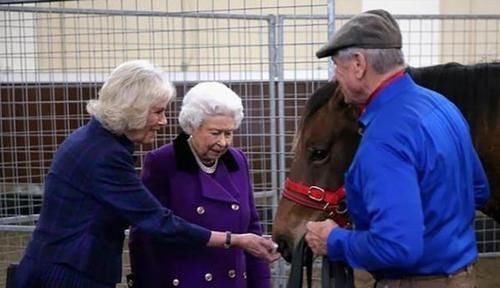72岁卡米拉比94岁英女王怕冷,女王光腿她穿长靴,小22没女王年轻