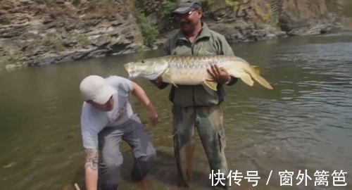 草鱼|山中意外钓获大鱼，体型像草鱼但鱼鳞金灿灿的，什么鱼？