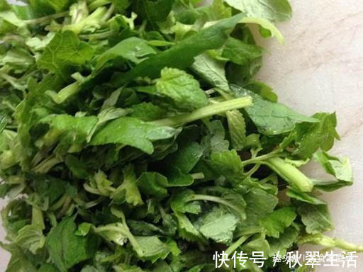 花盆|我家每年必吃,是菜也是药,用来炒鸡蛋比香椿还香,有花盆就能种