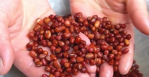 干红豆|天热多吃红豆，教你一个新吃法，祛暑消渴，外酥里糯，家人都爱吃