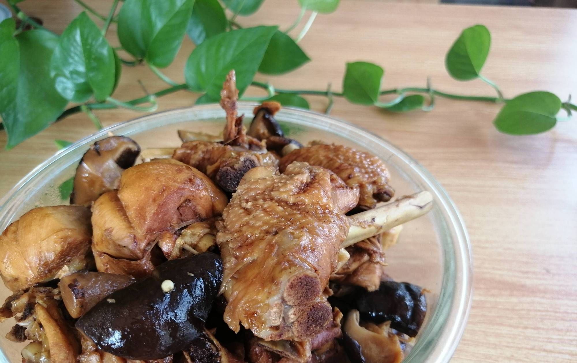 “天然青霉素”是它,三天吃一次,咳嗽肺热不见了,很少人知道