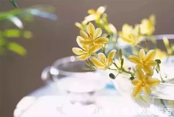 健康|健康:世上十种最好的“长寿药”