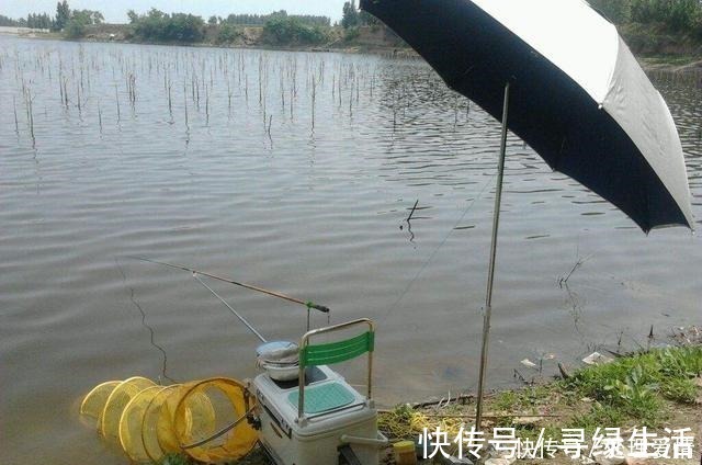 野钓鱼儿活跃水层多变，如何快速定位鱼层两个方法三个原则