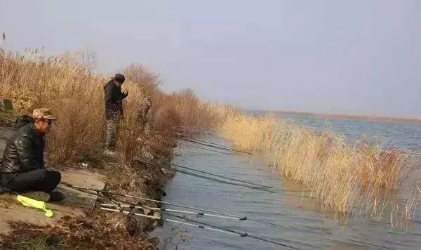 水温|冬天钓鱼不一定非要选深水，其实这三个浅水区的钓点，它也是好位置