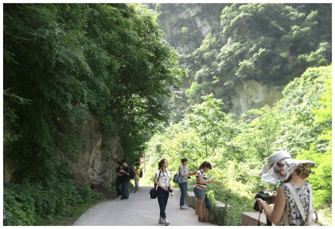 西安的森林公园走红，大自然风景秀丽，夏天来了让你不想走