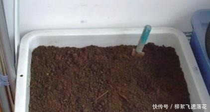 自制养花肥，该如何处理生活垃圾如此办废物可变用