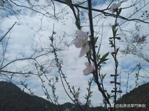 春节行程--大余县游仙村