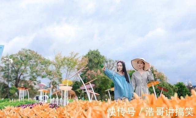 赏花|华东赏花好去处，荷兰花海百合花绽放，看《只有爱·戏剧幻城》