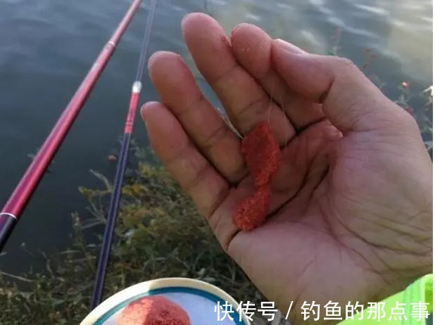 钓位|初春钓鱼“钓友爆护你空军”?别怪钓位没选好,可能是饵料的问题