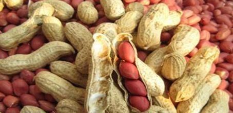 好食物吃出好身体,3种食物离不开,强身健体,美容养颜!