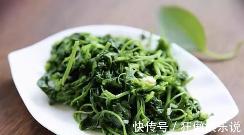 老少皆宜|天天熬夜伤身体，肝补了吗？3种食物，养肝护肝，肝好身体健康