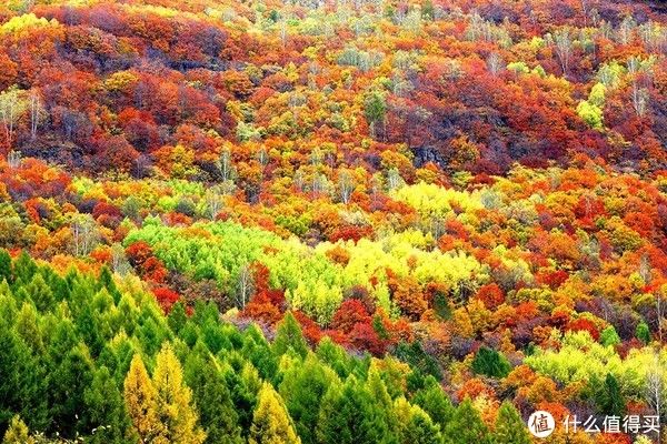 地图|被红叶点燃的仲秋华夏大地——中国赏红叶不完全地图