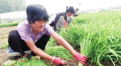 经常便秘不用怕,3种食物换着吃,快速通便,肠道越吃越干净