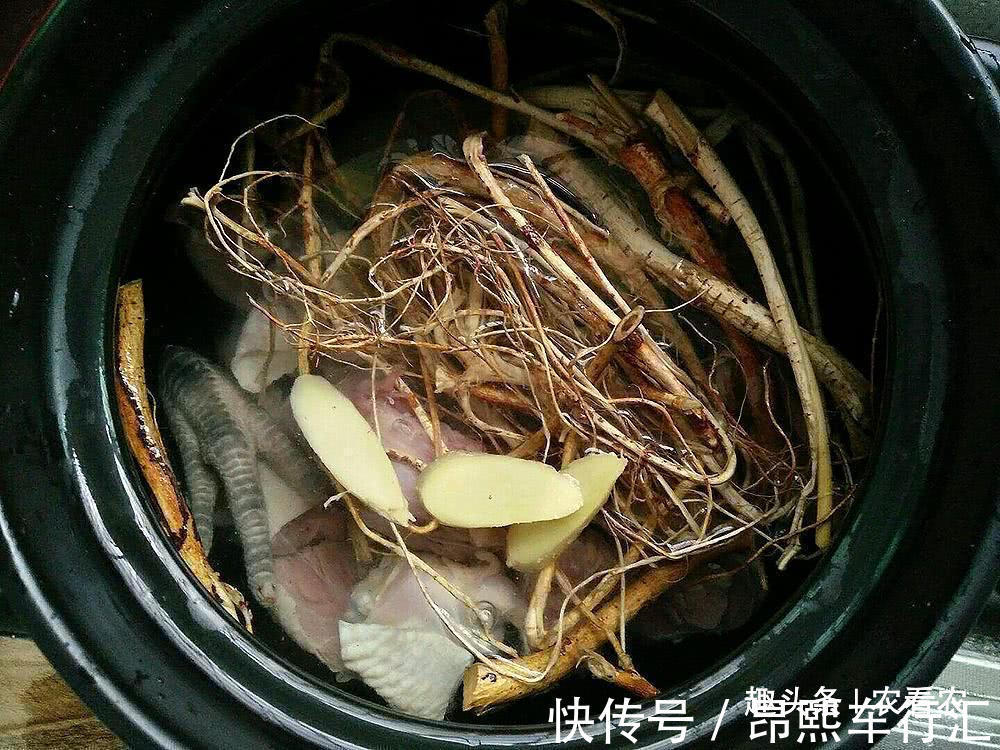 广东地区|价值不输人参,老人拿它泡酒,10元一斤,可不多见